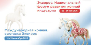 Международная конная конференция